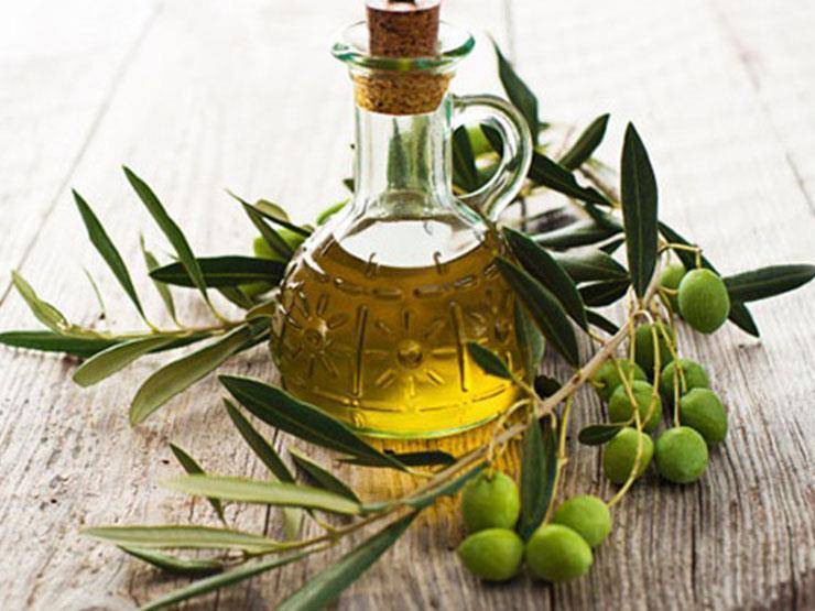 إقتراب موعد إنعقاد ورشة عمل LIVINGAGRO حول أنظمة الزيتون متعددة الوظائف