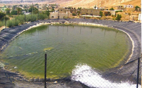 غرق 4 أشقاء ووفاة أحدهم في بالأغوار الشمالية