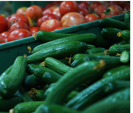 مدير سوق الخضار المركزي: بدء انخفاض أسعار أصناف الخضار الرئيسة