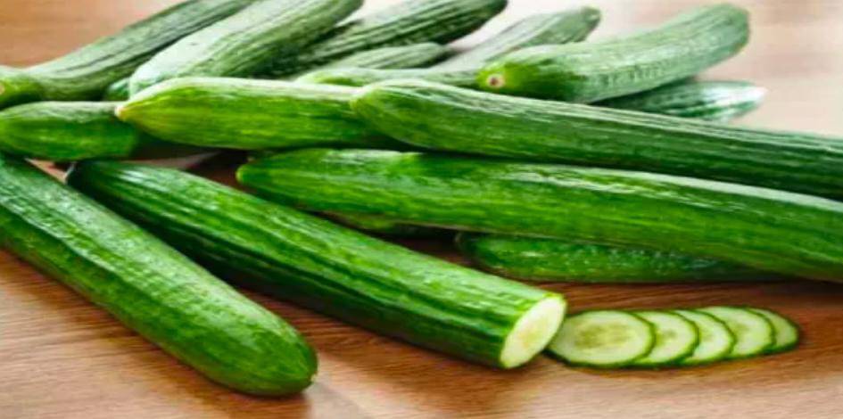 فوائد الخيار لجسم  الصائم في رمضان .... تفاصيل