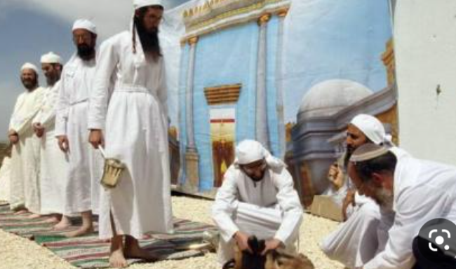 منظمات يهودية تجري تدريبات على تقديم قربان الفصح اليهودي