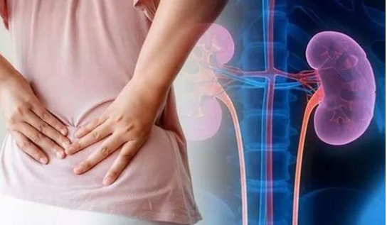 معدل الترشيح الكُبيبي للكلى.. إلى ماذا يشير؟