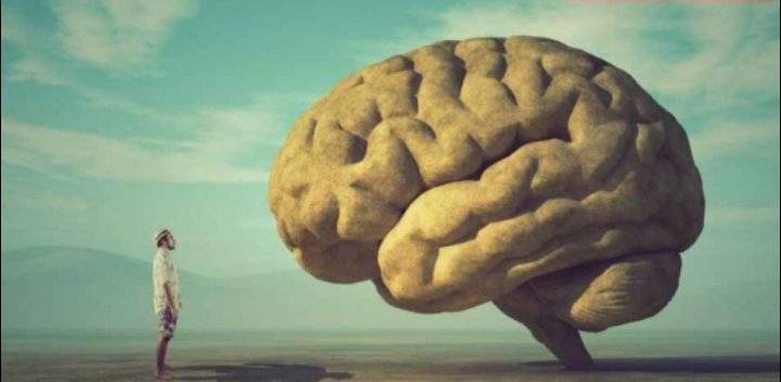 دراسة ألمانية : “أدمغة الناطقين باللغة العربية مختلفة عن الأدمغة الأخرى لديهم دوائر عصبية معقدة”