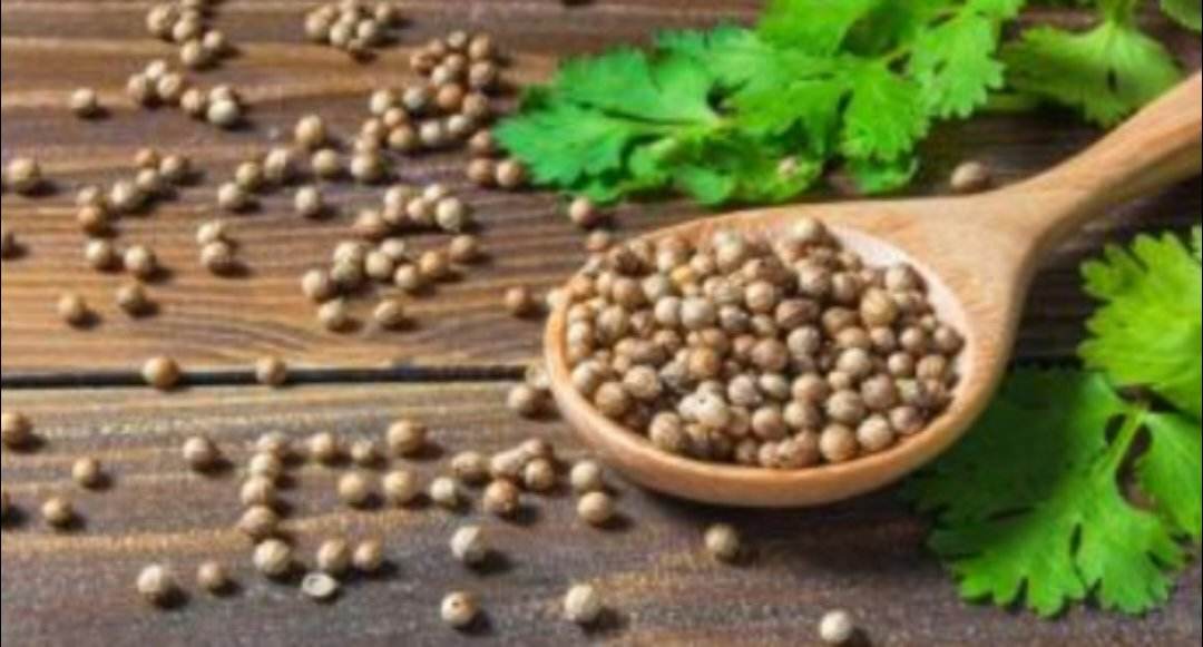 ماذا يحدث للجسم عند تنازل الكزبرة ...وخاصة للامراض الجلديّة