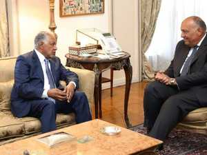 شكري: السيسي وجّه بتوفير أكبر قدر من الرعاية للسودانيين