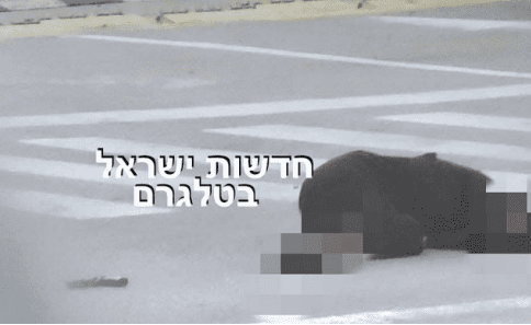 ظنوا أنها فلسطينية.. مقتل مجندة برصاص الاحتلال بالخليل