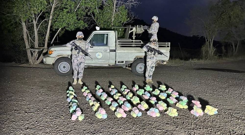 السعودية ..حرس الحدود يحبط تهريب 80 كيلوغراماً من نبات القات المخدر