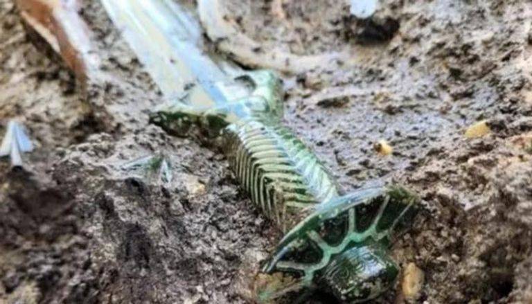 عمره 3 آلاف عام.. العثور على سيف لامع في مقبرة