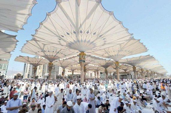 أكثر من 796 ألف حاج وصلوا إلى المدينة المنورة