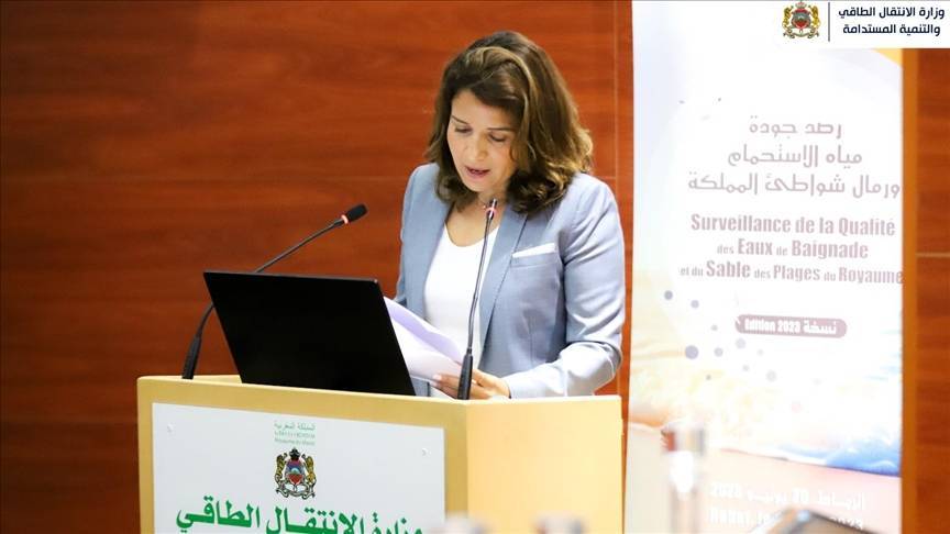 المغرب: سنضاعف استثمارات الطاقة المتجددة 3 مرات