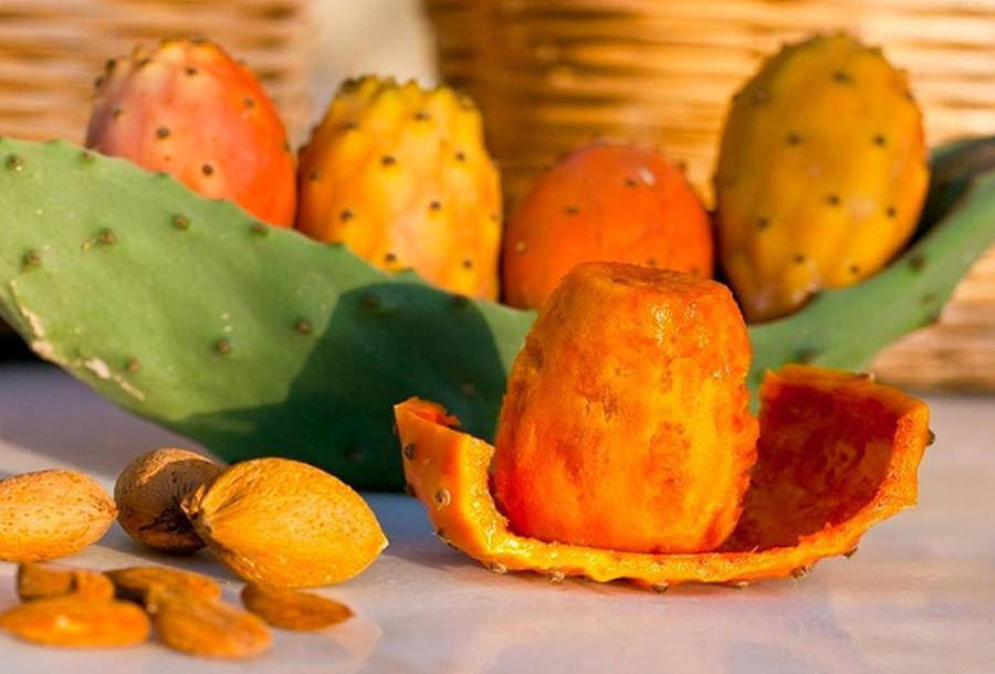 تعرف إليها.. فوائد تناول الصبار على الريق