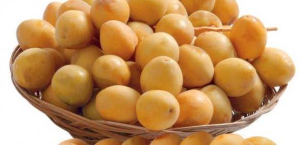 فوائد البلح الأصفر