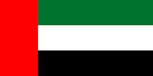رئيس الإمارات ينعى أخاه سعيد بن زايد