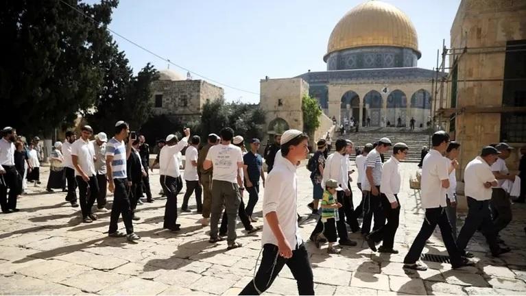 22 من الإسرائيليين يفكرون بالهجرة خارج فلسطين