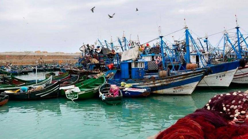 اتفاق الصيد البحري المغربي الأوروبي بين الربح والخسارة
