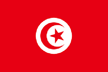 الحشاني رئيسا للحكومة التونسية