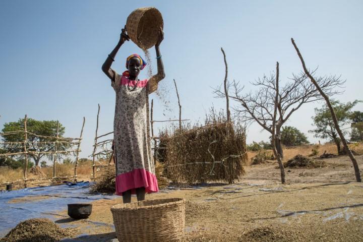 20 مليون شخص يواجهون جوعاً حاداً في السودان