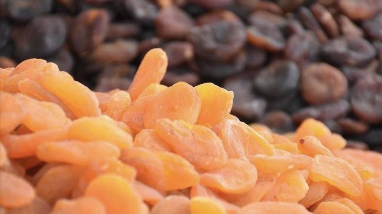 ملاطية التركية تحقق 436 مليون دولار من صادرات المشمش المجفف
