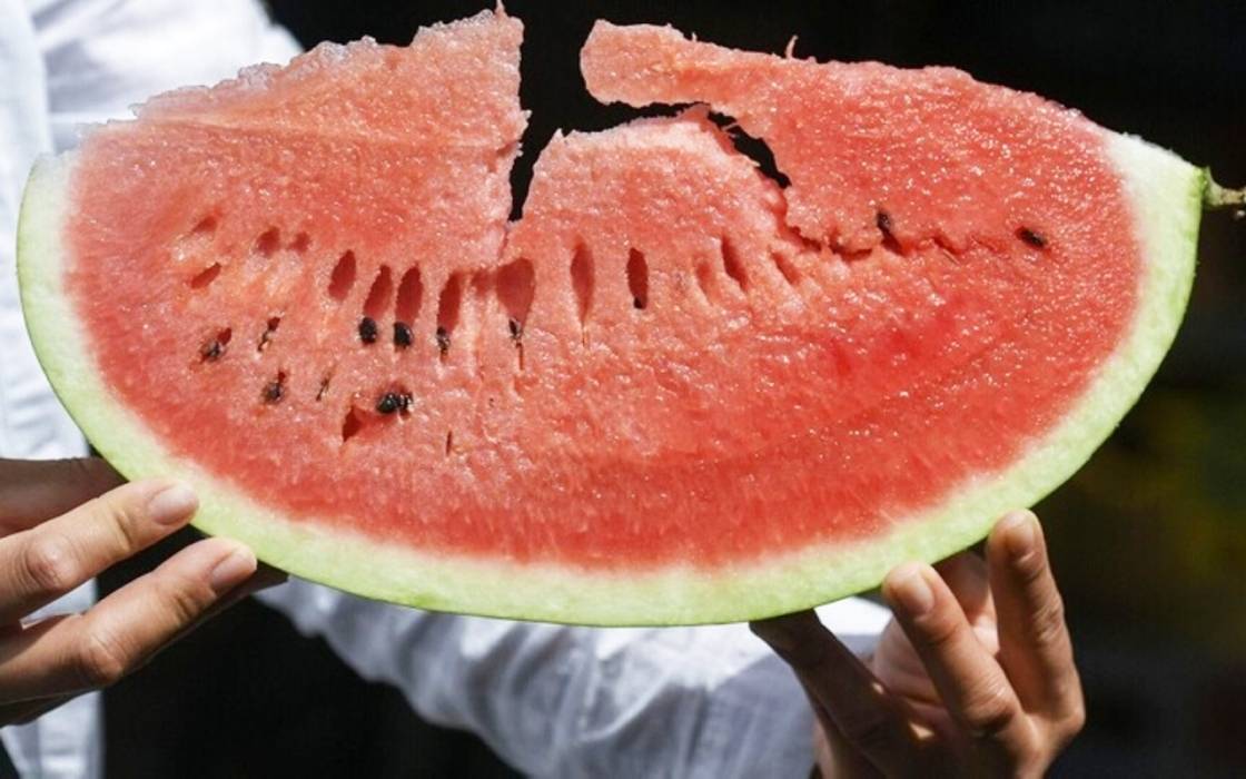 نصائح طبية لمحبي البطيخ