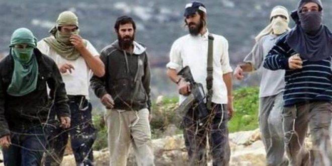 إرهاب عصابات المستوطنين بحق الفلسطينيين يتصاعد