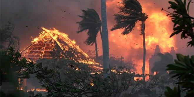 ارتفاع حصيلة ضحايا حرائق هاواي إلى 80 شخصاً