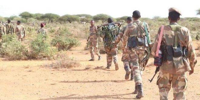 الجيش الصومالي يقضي على 23 إرهابياً من حركة الشباب الإرهابية