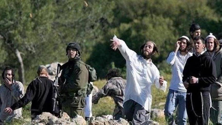 مستوطنون يهاجمون فلسطينيين وممتلكاتهم بعدة مناطق بالضفة