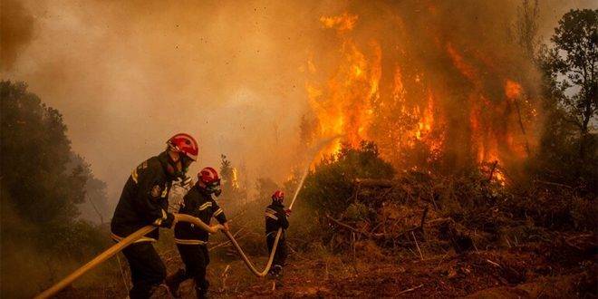 إنقاذ 25 مهاجراً حاصرتهم الحرائق في غابة شمال شرق اليونان