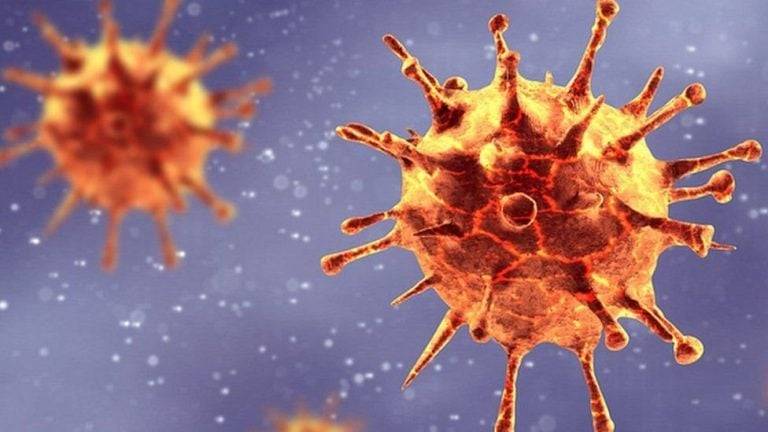 ظهور أول حالة إصابة بمتحور كورونا الجديد “بيرولا” في فرنسا