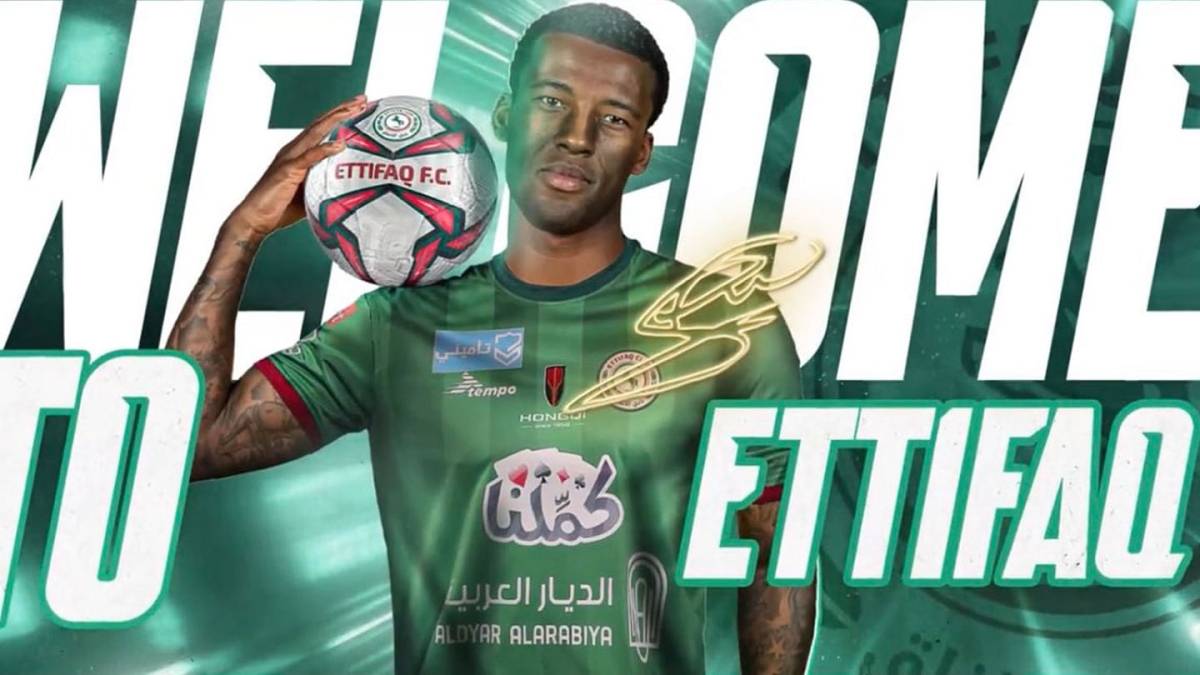 رسميا.. ضم الهولندي فينالدوم من باريس سان جيرمان في الاتفاق