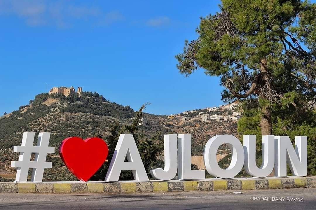 تعرف على أداء البرلمانيين والبرلمانيات لمحافظة عجلون  في مجلس النواب التاسع عشر ..وثائق