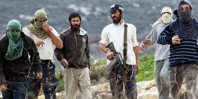 مستوطنون يعتدون على فلسطينيين في رام الله والأغوار الشمالية