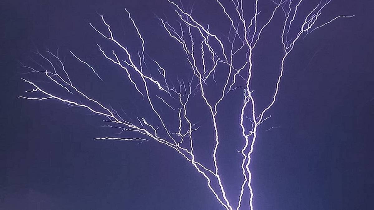 ما قصة فيديو شجرة الصاعقة في مكة المكرمة ؟