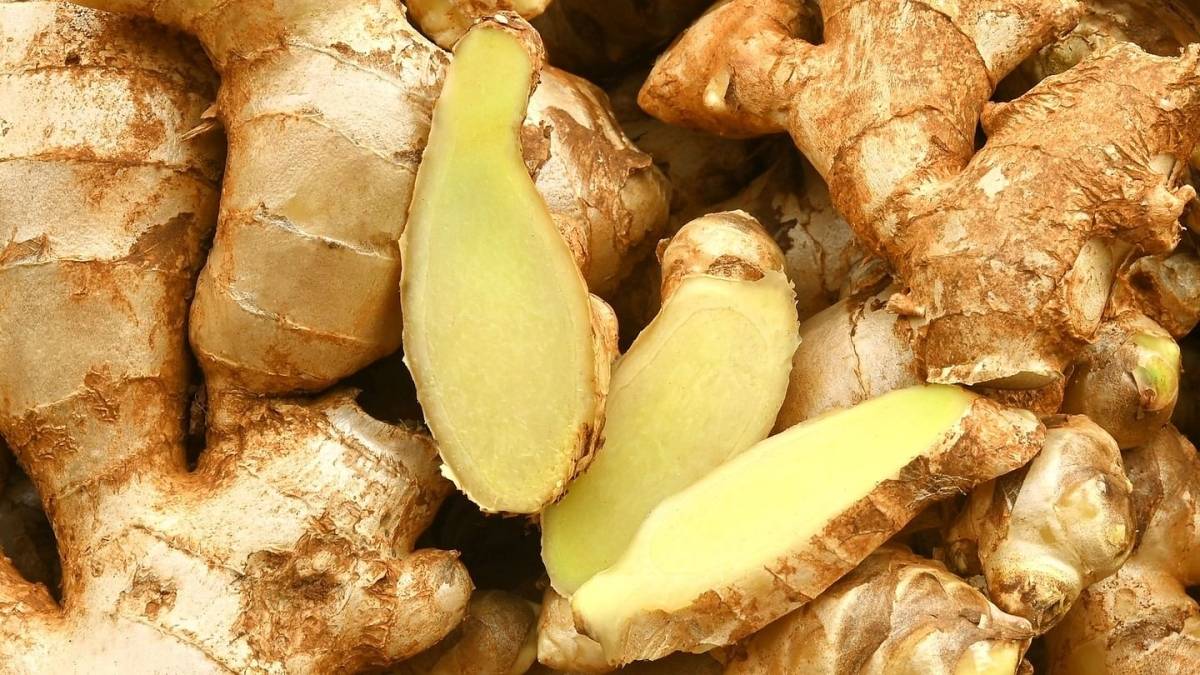  الزنجبيل  علاج لأمراض المناعة الذاتية