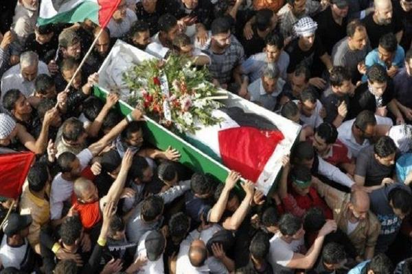 استشهاد 756 فلسطينيا في العدوان الإسرائيلي على غزة