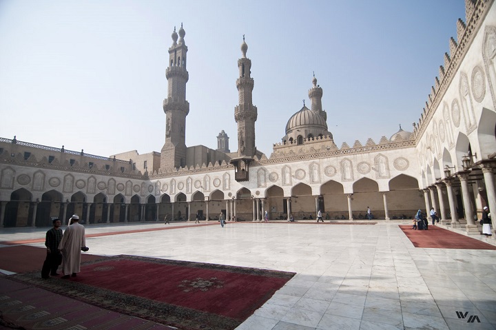 الأزهر يطالب بإجراء تحقيق دولي بجرائم الاحتلال في غزة