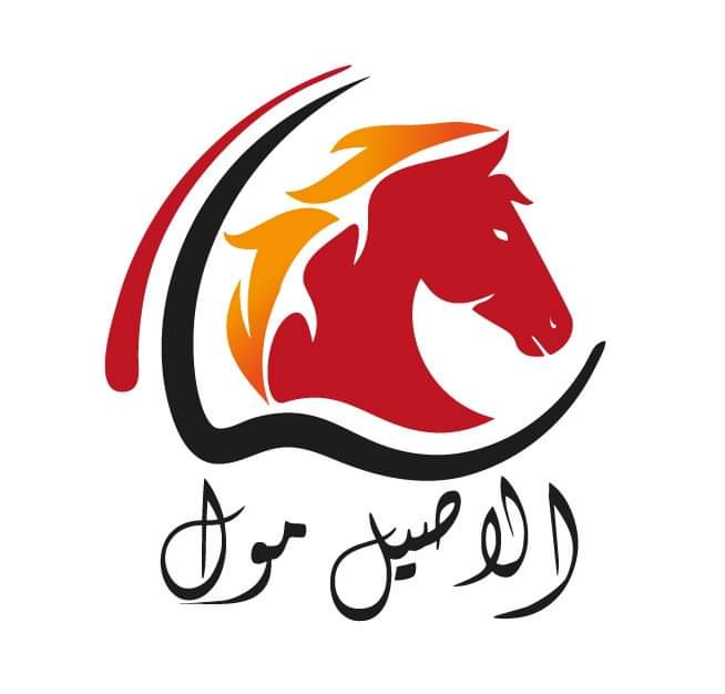 الأصيل مول ... مؤسسة تجارية شعارها العطاء والتميز
