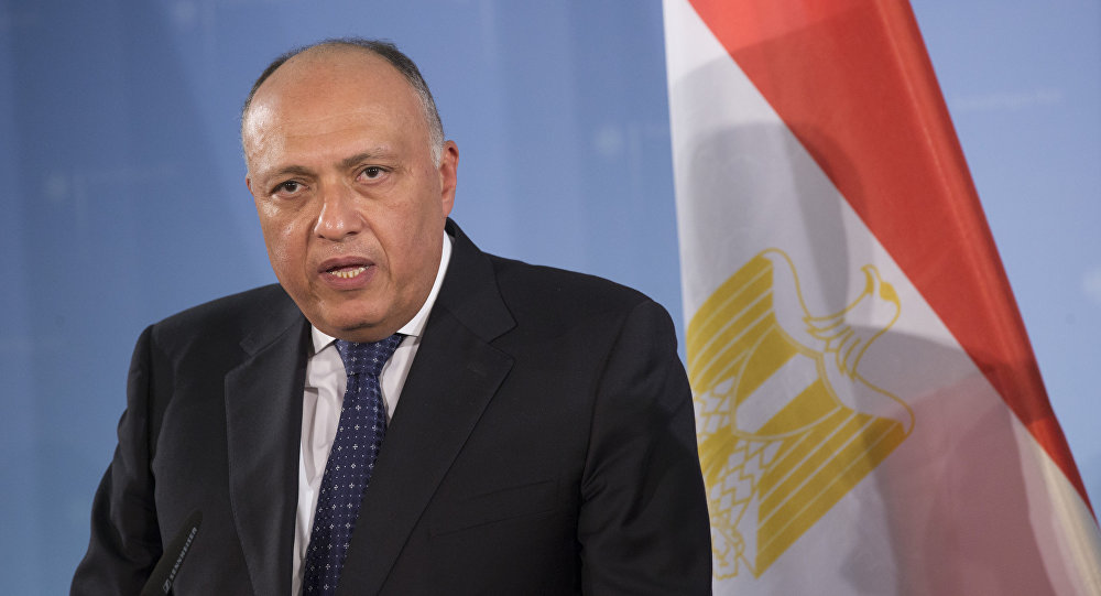 وزير الخارجية المصري: إسرائيل لم تسمح بعد بدخول المساعدات