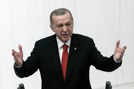 أردوغان يطالب باتخاذ إجراءات فعالة ضد انتهاكات حقوق الإنسان في غزة