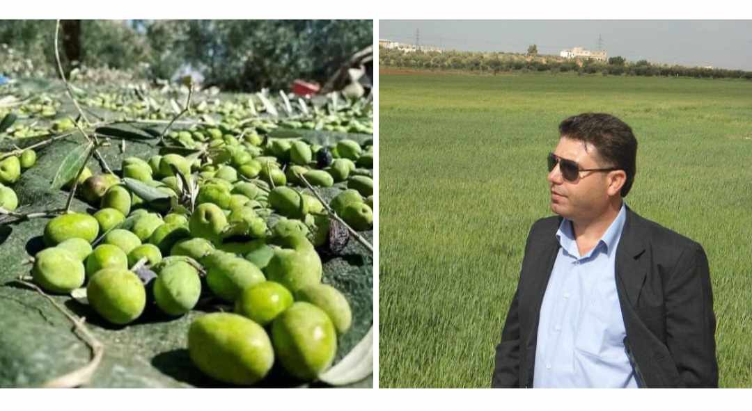 عبيدات يكتب  عيد الفلاحين  موسم قطاف الزيتون في الأردن