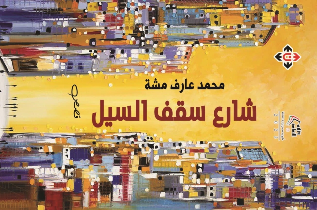 شارع سقف السيل لمحمد عارف مشَّة.. حين تنطق الكلمات كمقاطع فيديو متتابعة
