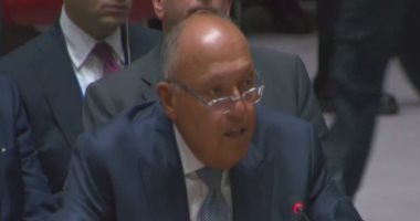 شكري أمام مجلس الأمن: التهجير القسرى من غزة مرفوض.. وندعو لوقف فورى لإطلاق النار فى غزة