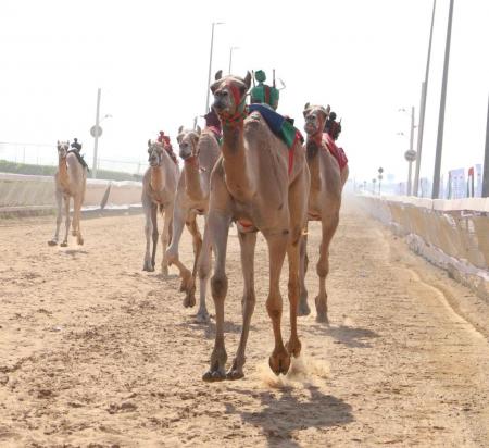شديدة تتوّج بكأس حاكم الشارقة في الشوط المفتوح