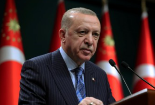 أردوغان: إسرائيل تواصل انتهاك القيم الإنسانية في غزة
