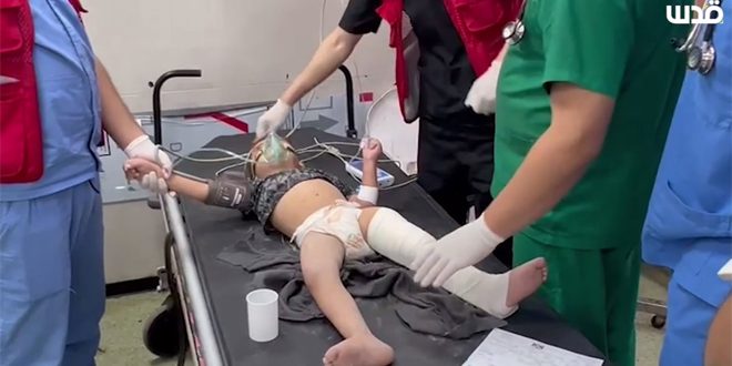 غزة.. ارتفاع حصيلة العدوان إلى 10812 شهيدًا
