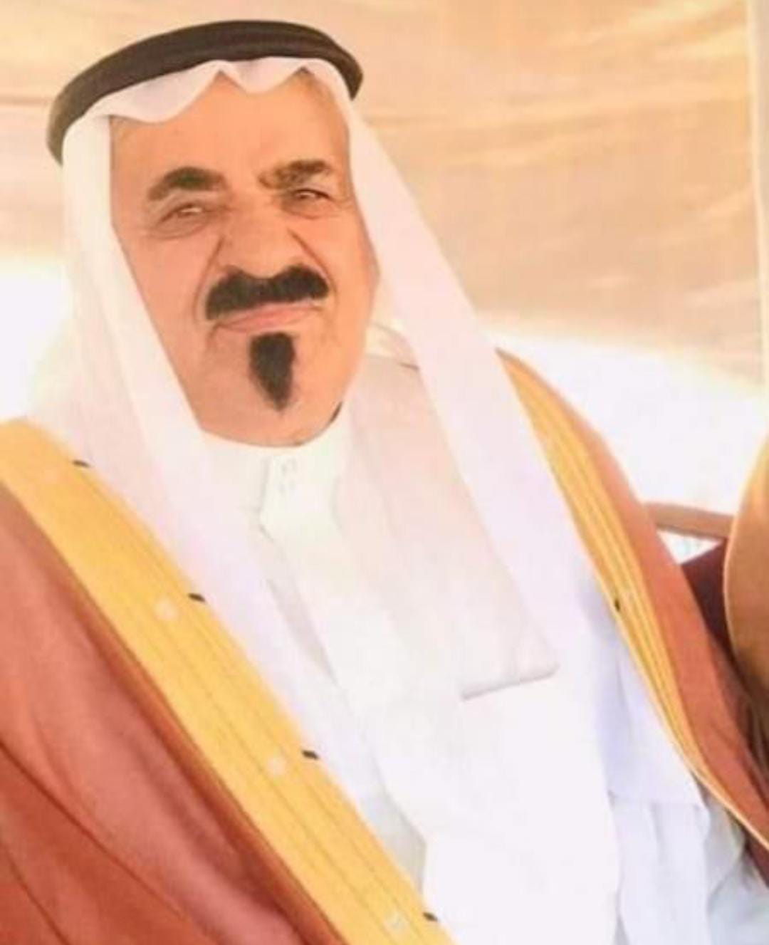 الصفدي ينعى النائب الأسبق الشيخ بخيت الحجايا