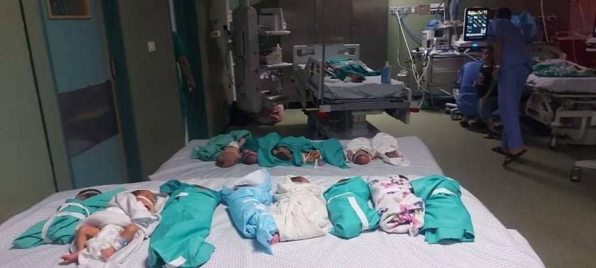 وفاة 5 من الخدج بمجمع الشفاء