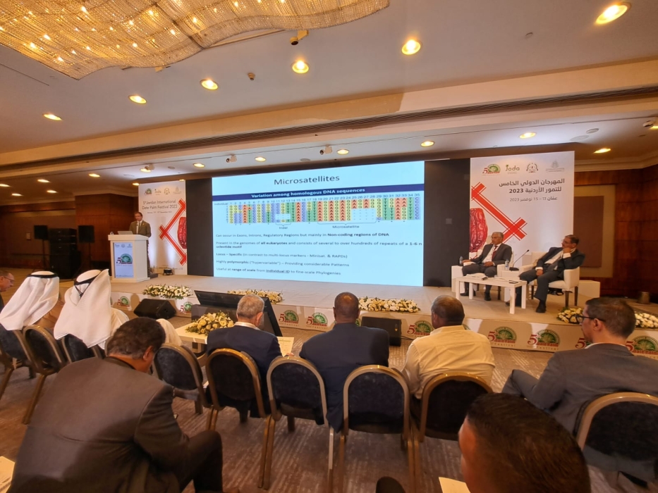 عمان... باحثون يدرسون سبل تطوير قطاع النخيل وإنتاج التمور