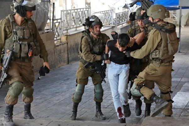 الاحتلال يعتقل 40 فلسطينيا في الضفة