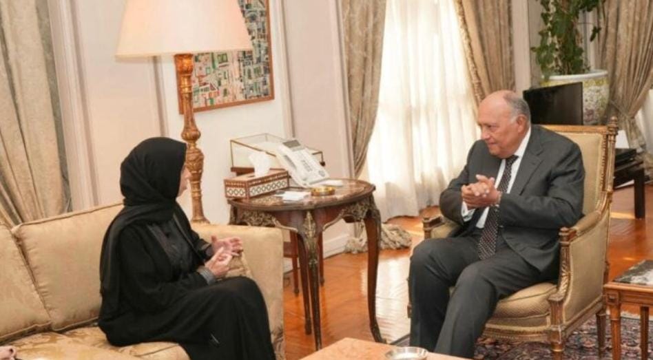 وزير الخارجية المصري يبحث مع وزيرة التعاون الدولي لقطر جهود إيصال المساعدات الإنسانية لغزة